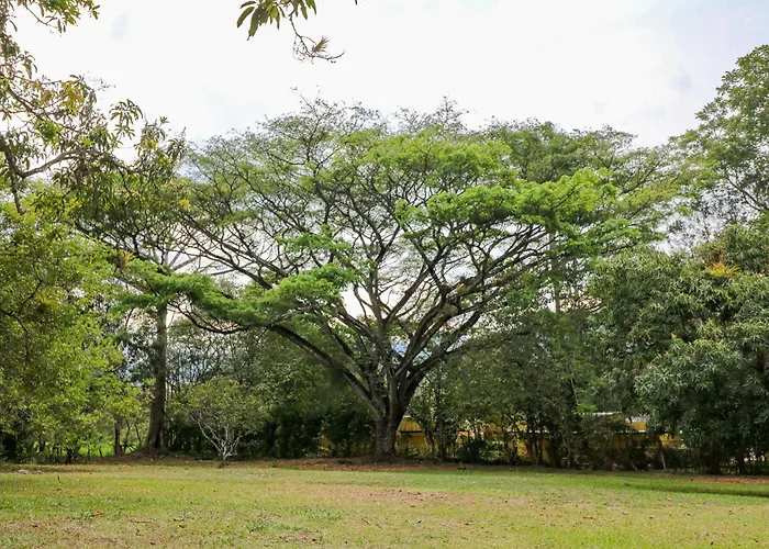 Hermosa Cabana En Villeta
