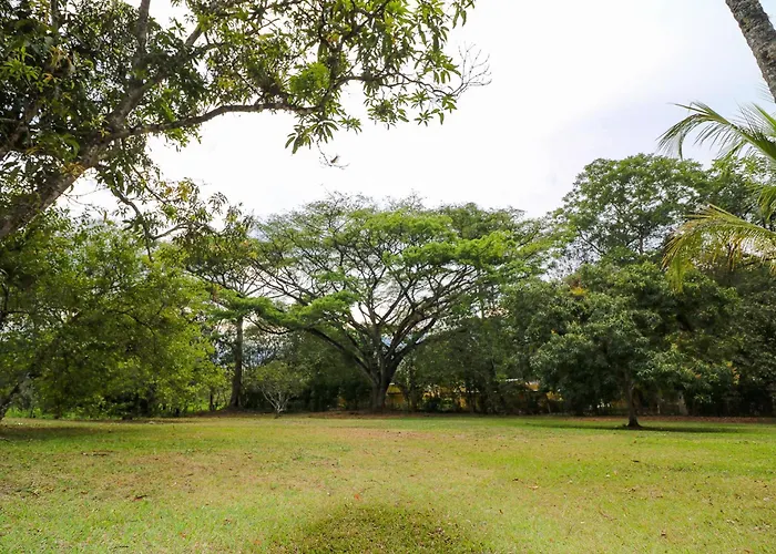 Hermosa Cabana En Villeta